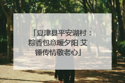 夏津县平安湖村：粽香包意暖夕阳 艾锤传情敬老心