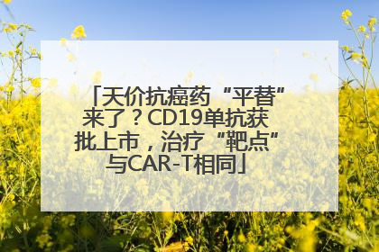 天价抗癌药“平替”来了？CD19单抗获批上市，治疗“靶点”与CAR-T相同