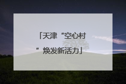 天津“空心村”焕发新活力