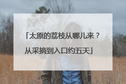 太原的荔枝从哪儿来？从采摘到入口约五天