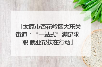 太原市杏花岭区大东关街道：“一站式”满足求职 就业帮扶在行动