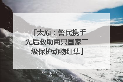 太原：警民携手 先后救助两只国家二级保护动物红隼