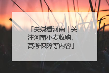 央媒看河南｜关注河南小麦收购、高考保障等内容