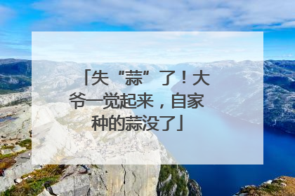 失“蒜”了！大爷一觉起来，自家种的蒜没了