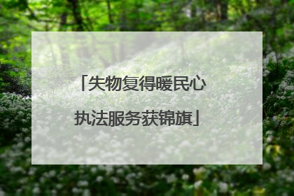 失物复得暖民心 执法服务获锦旗