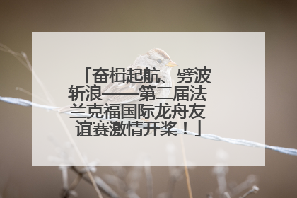 奋楫起航、劈波斩浪——第二届法兰克福国际龙舟友谊赛激情开桨！