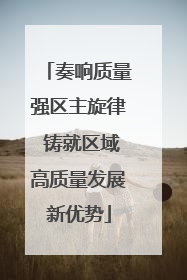 奏响质量强区主旋律 铸就区域高质量发展新优势