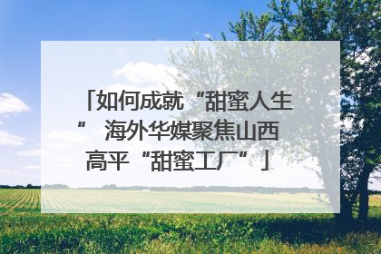 如何成就“甜蜜人生” 海外华媒聚焦山西高平“甜蜜工厂”