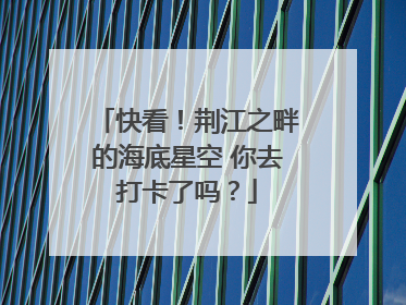 快看！荆江之畔的海底星空 你去打卡了吗？