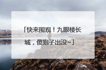 快来围观！九眼楼长城，傻狍子出没~