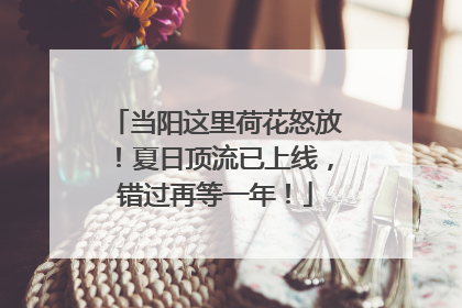 当阳这里荷花怒放！夏日顶流已上线，错过再等一年！