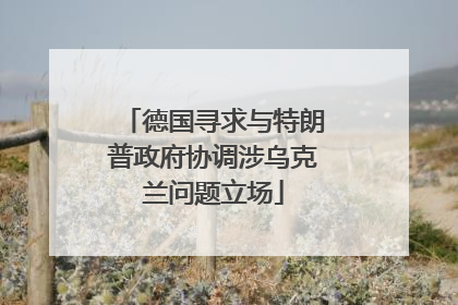 德国寻求与特朗普政府协调涉乌克兰问题立场
