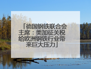 德国钢铁联合会主席：美加征关税给欧洲钢铁行业带来巨大压力