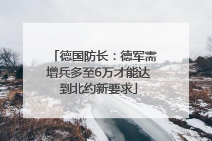 德国防长：德军需增兵多至6万才能达到北约新要求