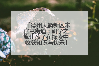德州天衢新区宋官屯街道：研学之旅让孩子在探索中收获知识与快乐