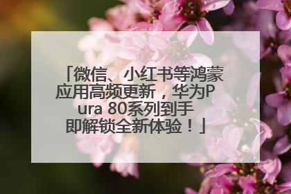 微信、小红书等鸿蒙应用高频更新，华为Pura 80系列到手即解锁全新体验！