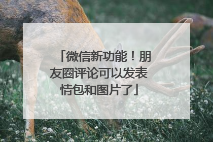 微信新功能！朋友圈评论可以发表情包和图片了