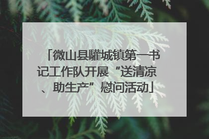微山县驩城镇第一书记工作队开展“送清凉、助生产”慰问活动