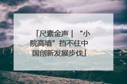 尺素金声｜“小院高墙”挡不住中国创新发展步伐