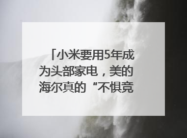 小米要用5年成为头部家电，美的海尔真的“不惧竞争”？｜热财经