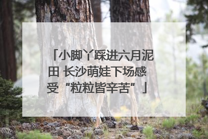 小脚丫踩进六月泥田 长沙萌娃下场感受“粒粒皆辛苦”