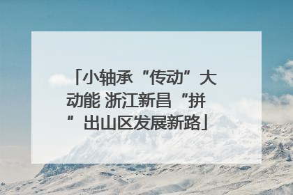 小轴承“传动”大动能 浙江新昌“拼”出山区发展新路