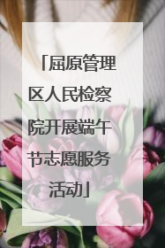 屈原管理区人民检察院开展端午节志愿服务活动