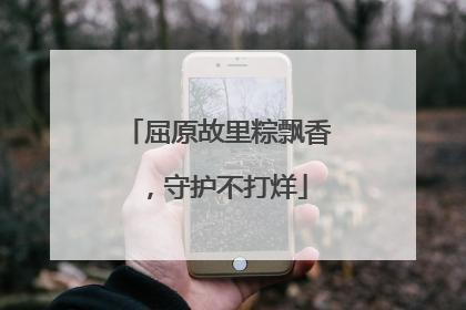 屈原故里粽飘香，守护不打烊