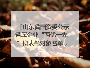 山东省国资委公示省属企业“两优一先”拟表彰对象名单，共250名（个）党员和党组织