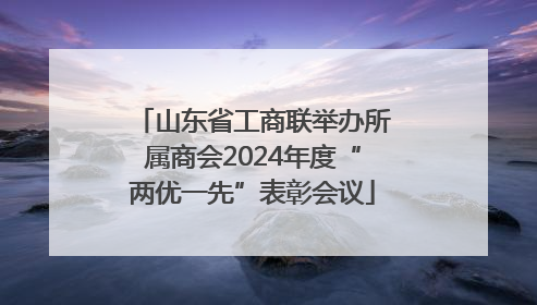 山东省工商联举办所属商会2024年度“两优一先”表彰会议