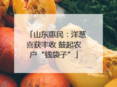 山东惠民：洋葱喜获丰收 鼓起农户“钱袋子”