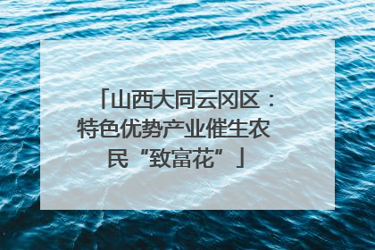 山西大同云冈区：特色优势产业催生农民“致富花”