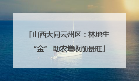 山西大同云州区：林地生“金” 助农增收前景旺