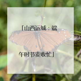 山西运城：端午时节麦收忙