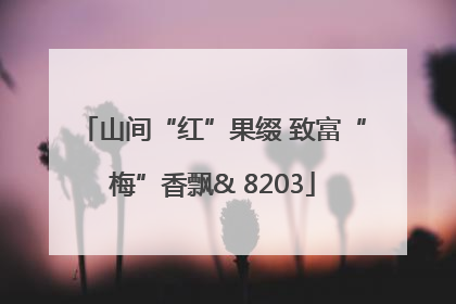 山间“红”果缀 致富“梅”香飘& 8203