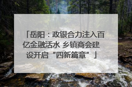 岳阳：政银合力注入百亿金融活水 乡镇商会建设开启“四新篇章”