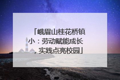 峨眉山桂花桥镇小：劳动赋能成长，实践点亮校园