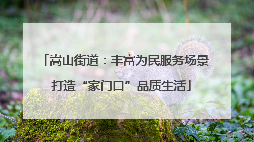 嵩山街道：丰富为民服务场景 打造“家门口”品质生活