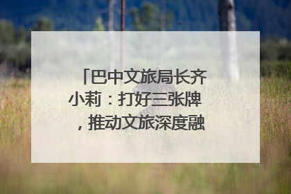 巴中文旅局长齐小莉：打好三张牌，推动文旅深度融合｜文旅局长说