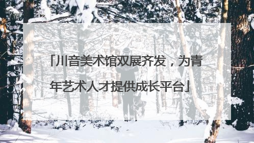 川音美术馆双展齐发，为青年艺术人才提供成长平台