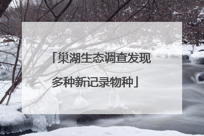 巢湖生态调查发现多种新记录物种