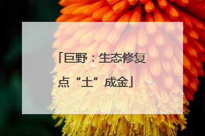 巨野：生态修复点“土”成金