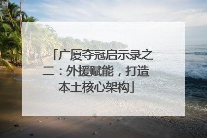 广厦夺冠启示录之二：外援赋能，打造本土核心架构