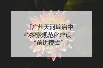 广州天河综治中心探索规范化建设“前进模式”