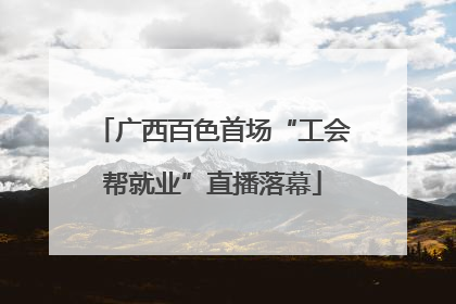 广西百色首场“工会帮就业”直播落幕