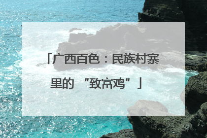 广西百色：民族村寨里的 “致富鸡”
