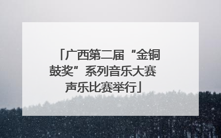 广西第二届“金铜鼓奖”系列音乐大赛声乐比赛举行