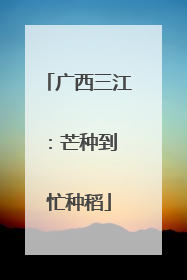 广西三江：芒种到 忙种稻