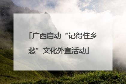 广西启动“记得住乡愁”文化外宣活动