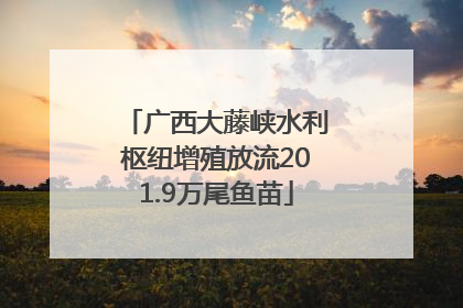 广西大藤峡水利枢纽增殖放流201.9万尾鱼苗